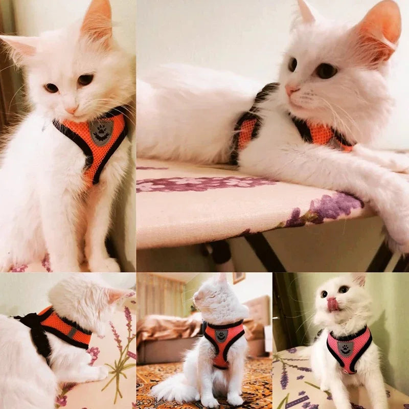 Adjustable Polyester Mesh Cat Harness Vest and Leash for Small to Medium Dogs and Puppies