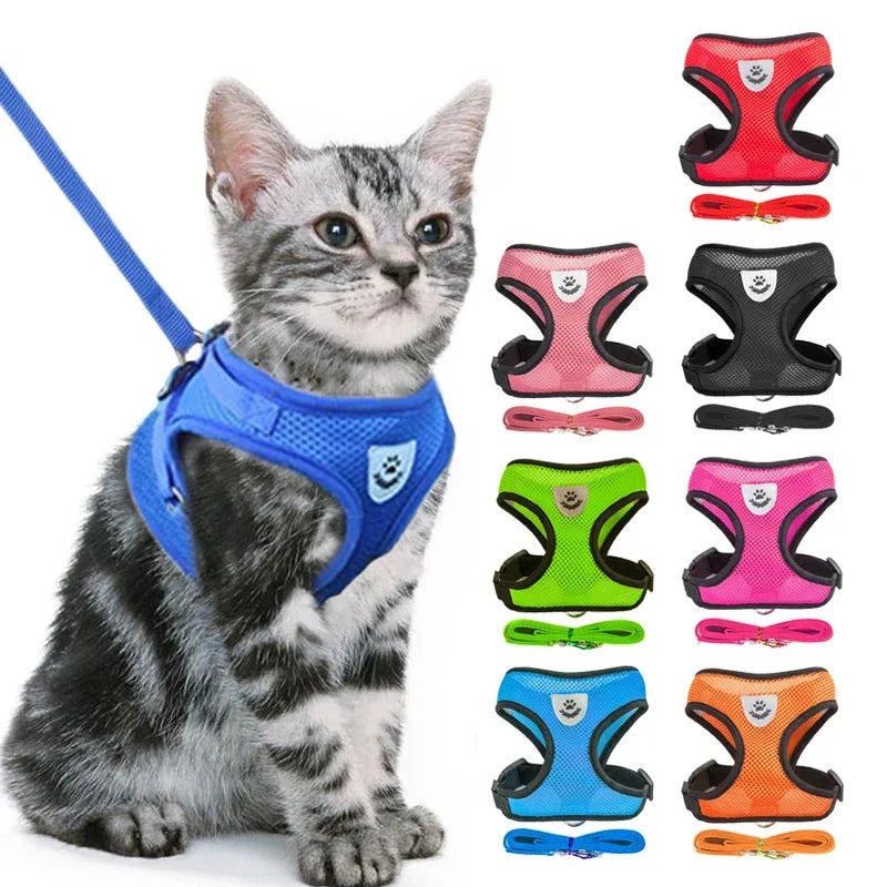 Adjustable Polyester Mesh Cat Harness Vest and Leash for Small to Medium Dogs and Puppies
