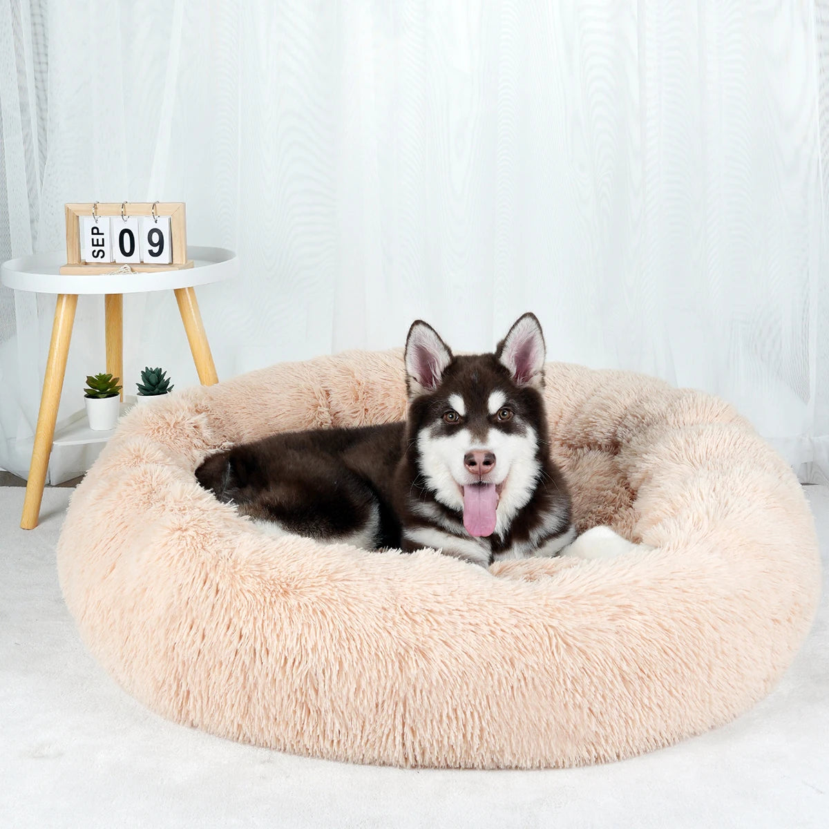 Large Washable Plush Dog Bed - Fluffy Sofa Style Pet Furniture for Medium and Small Dogs, Ideal Puppy Kennel Accessory