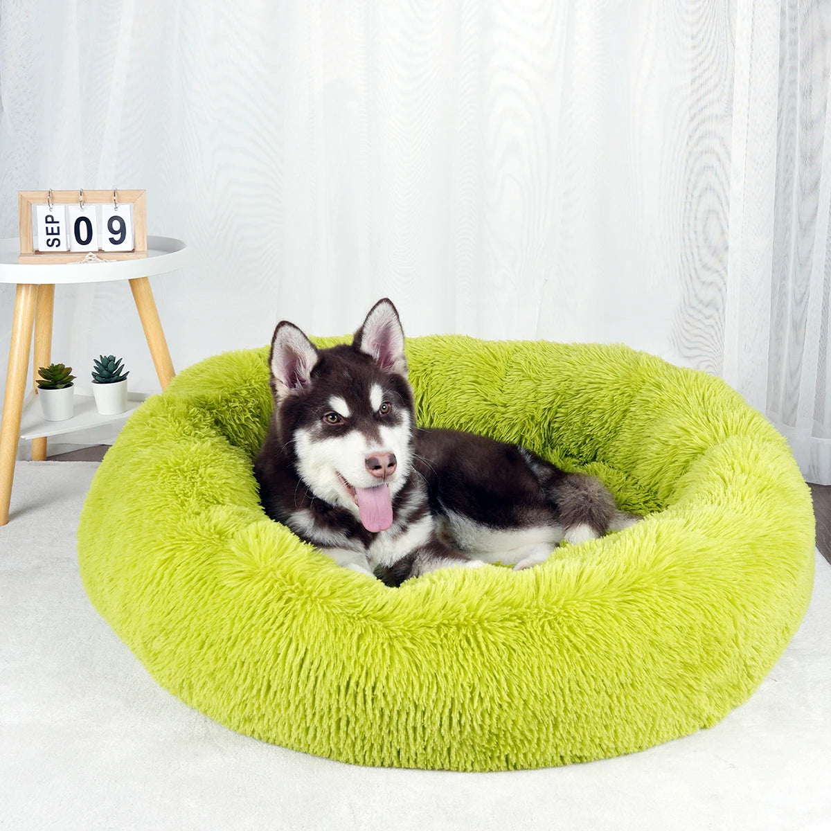 Large Washable Plush Dog Bed - Fluffy Sofa Style Pet Furniture for Medium and Small Dogs, Ideal Puppy Kennel Accessory