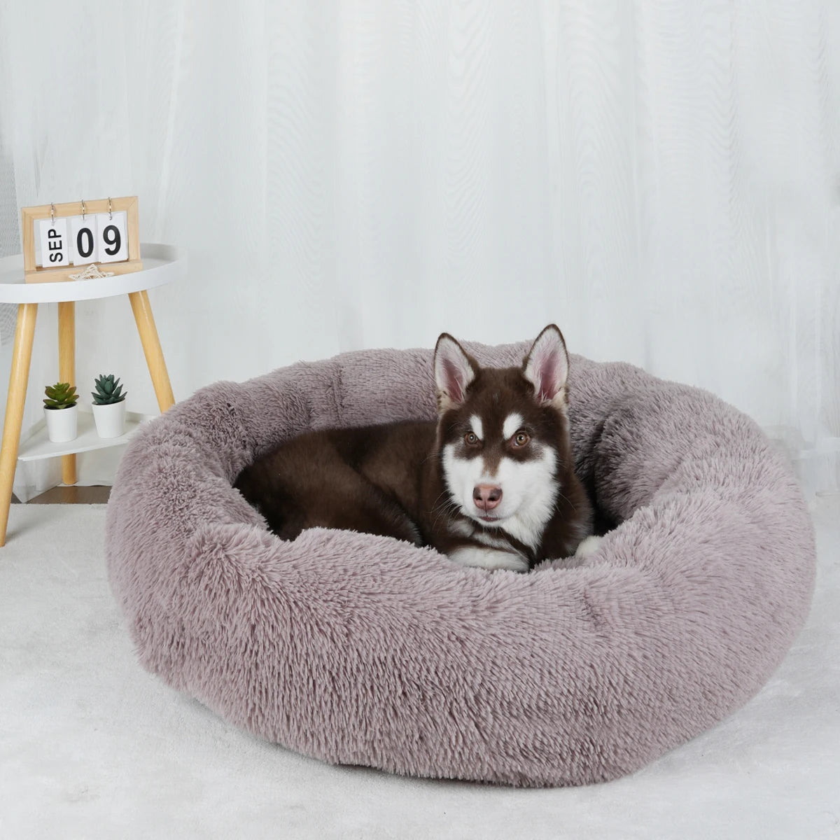 Large Washable Plush Dog Bed - Fluffy Sofa Style Pet Furniture for Medium and Small Dogs, Ideal Puppy Kennel Accessory