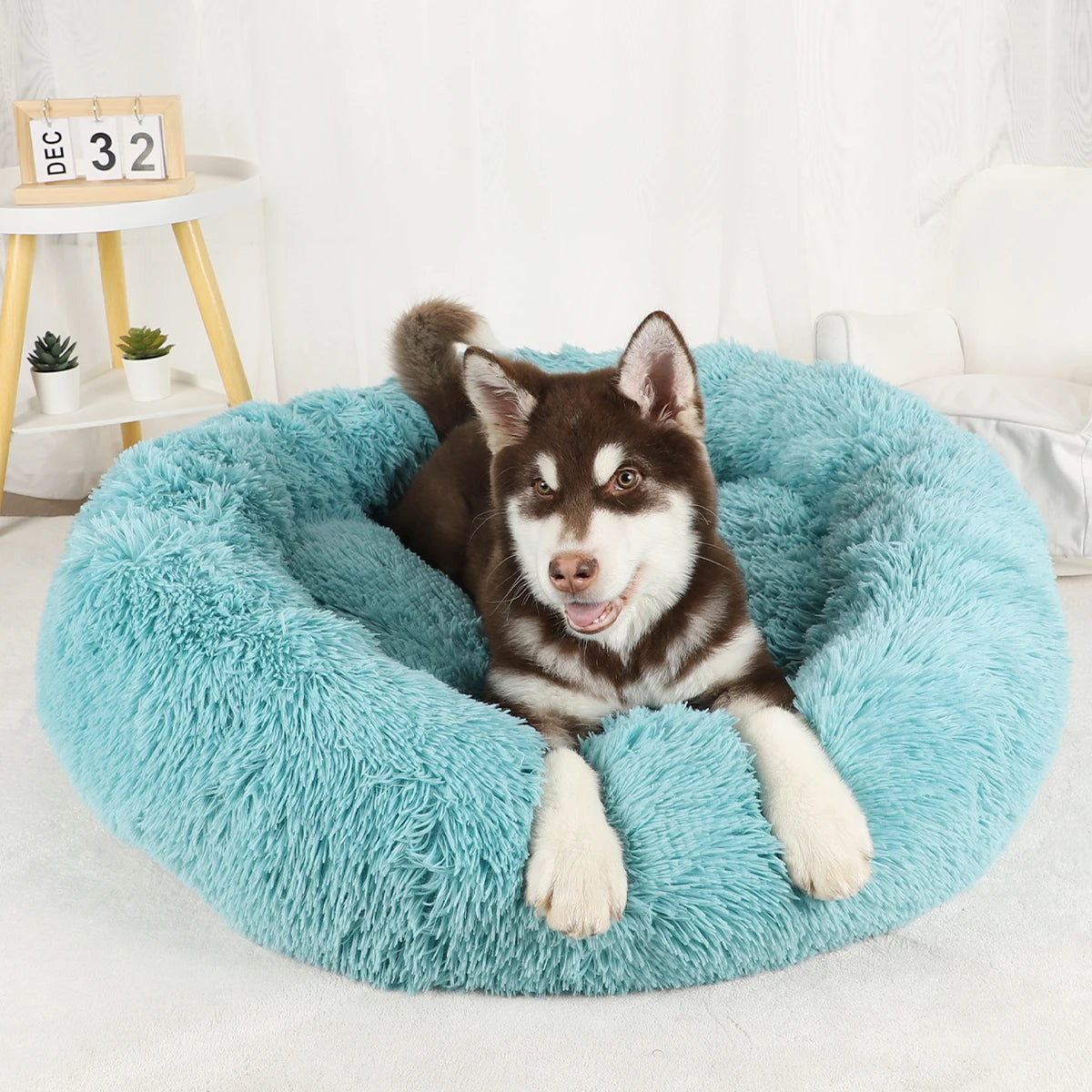 Large Washable Plush Dog Bed - Fluffy Sofa Style Pet Furniture for Medium and Small Dogs, Ideal Puppy Kennel Accessory