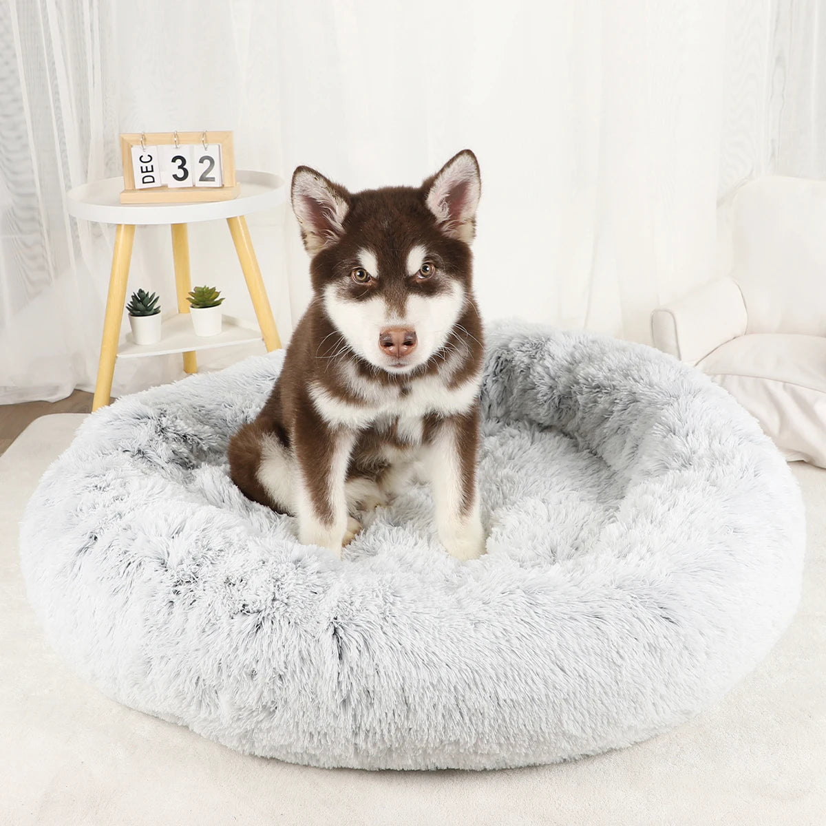 Large Washable Plush Dog Bed - Fluffy Sofa Style Pet Furniture for Medium and Small Dogs, Ideal Puppy Kennel Accessory