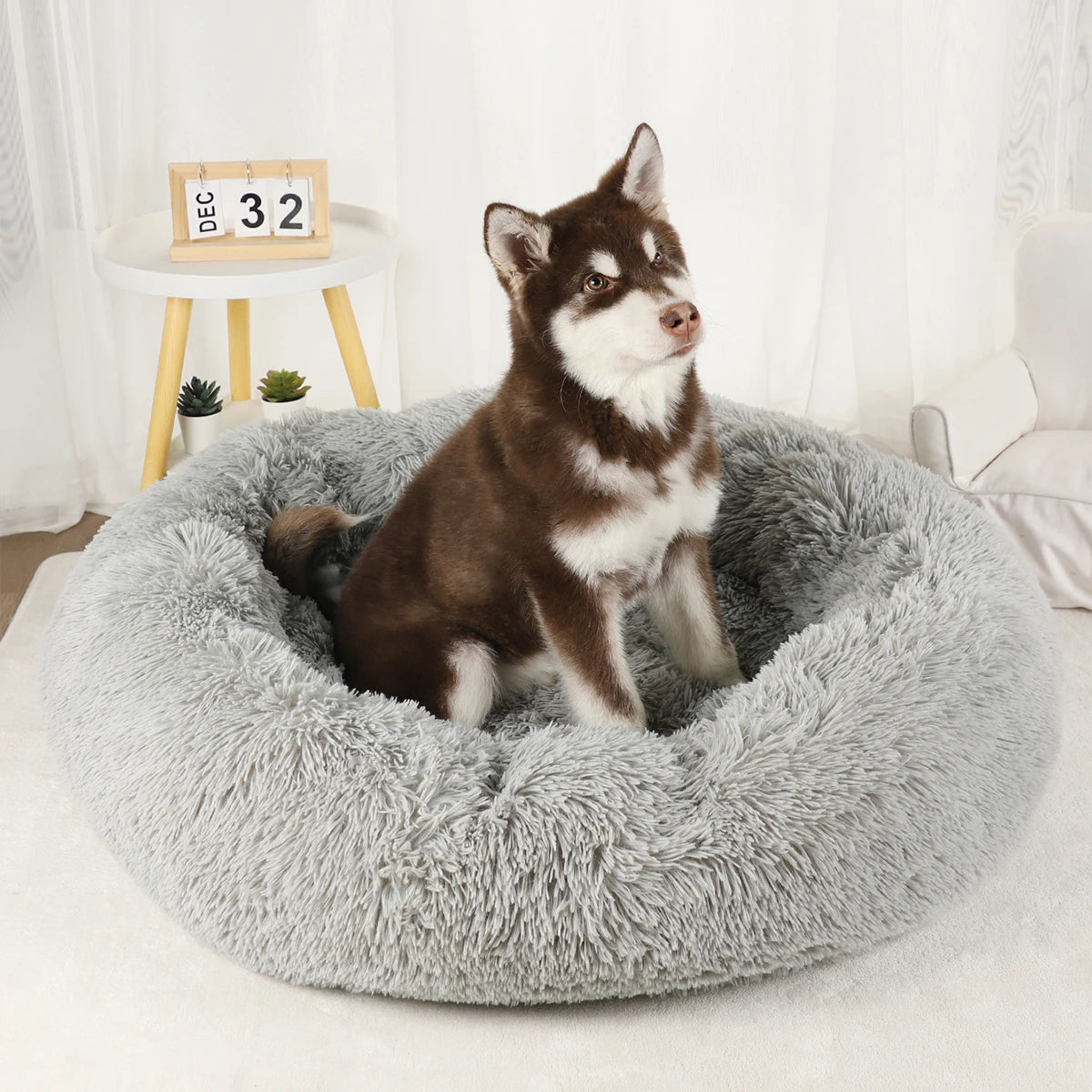 Large Washable Plush Dog Bed - Fluffy Sofa Style Pet Furniture for Medium and Small Dogs, Ideal Puppy Kennel Accessory