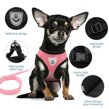 Adjustable Polyester Mesh Cat Harness Vest and Leash for Small to Medium Dogs and Puppies